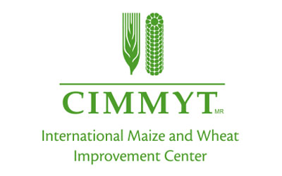 International-Maize-and-Wheat-Improvement-Centre