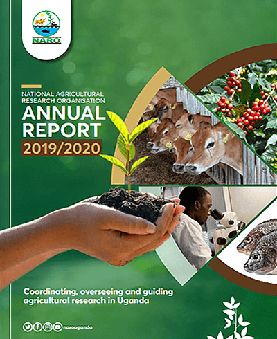 2019_2020_Annual_report