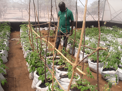 Climate Smart Agriculture (CSA) Project