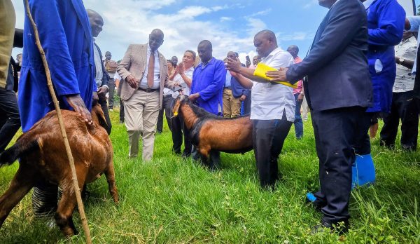 Minister Bright Rwamirama (center) presiding over the goat transfer event at NAGRC & DB in Entebbe..