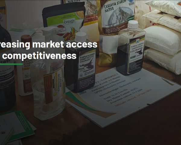 market access