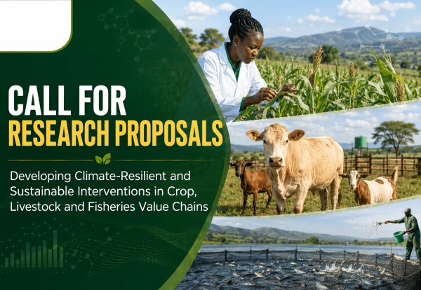 Call for Ressearch proposals (1)