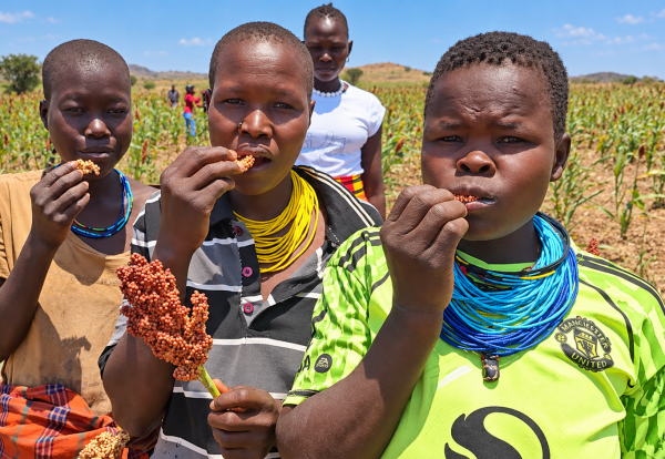 Karamoja drought
