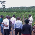 NaCRRI Briefs MAAIF and DCIC on Advanced Oil Palm Seed Systems and Rigorous Seedling Production Standards