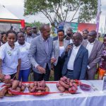 New Era in Nutrition: NARO Launches Pioneer Purple Sweetpotato Varieties NAROSPOT-8P, 9P, and 10P
